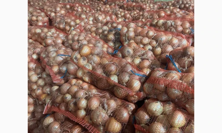 Цибуля на продаж - фото № 1