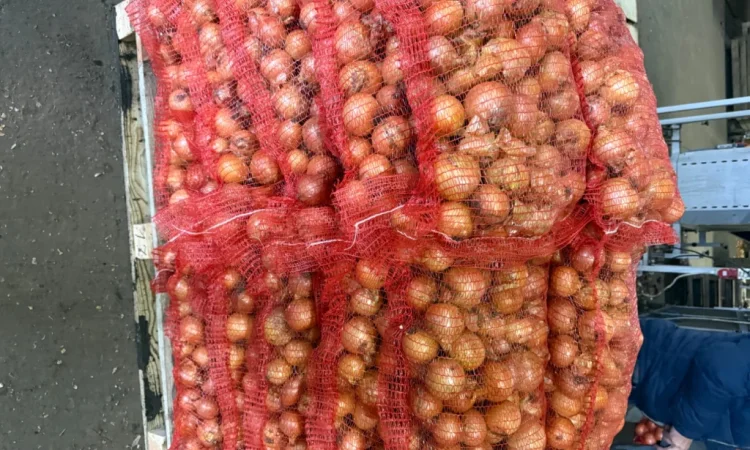 Цибуля 1 гатунок в сітках 20 кг - фото № 1