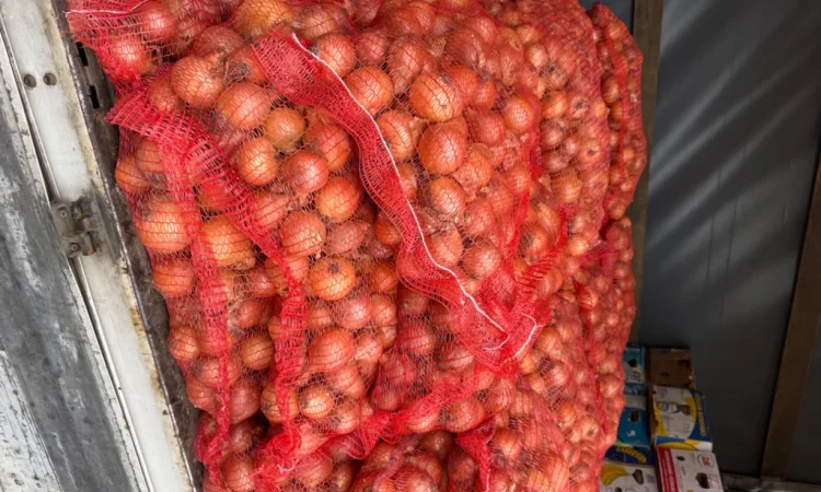 Цибуля 1 гатунок в сітках 20 кг - фото № 2