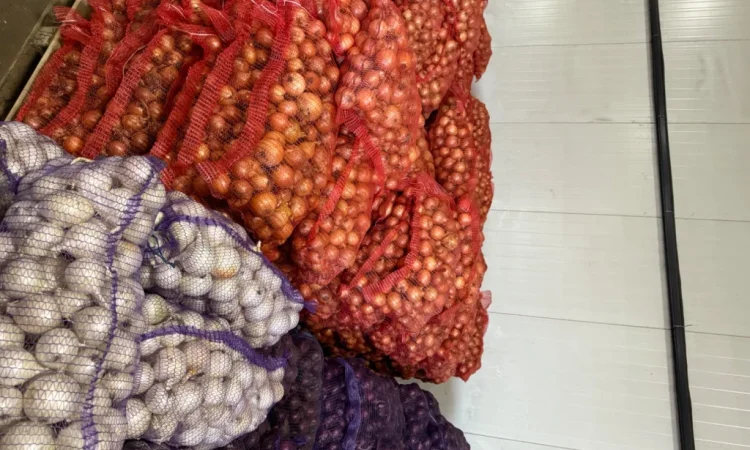 Цибуля 1 гатунок в сітках 20 кг - фото № 3