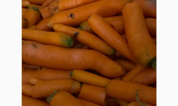 Продаж моркви 3 сорту мита - фото № 3