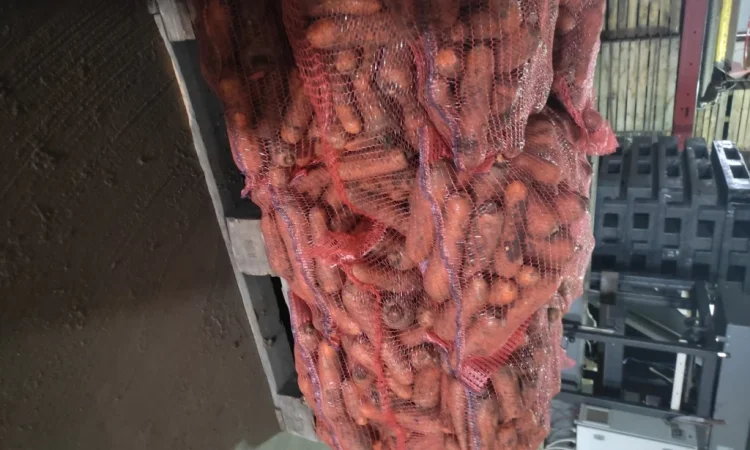 Покупка моркви в об'ємних сітках - фото № 1