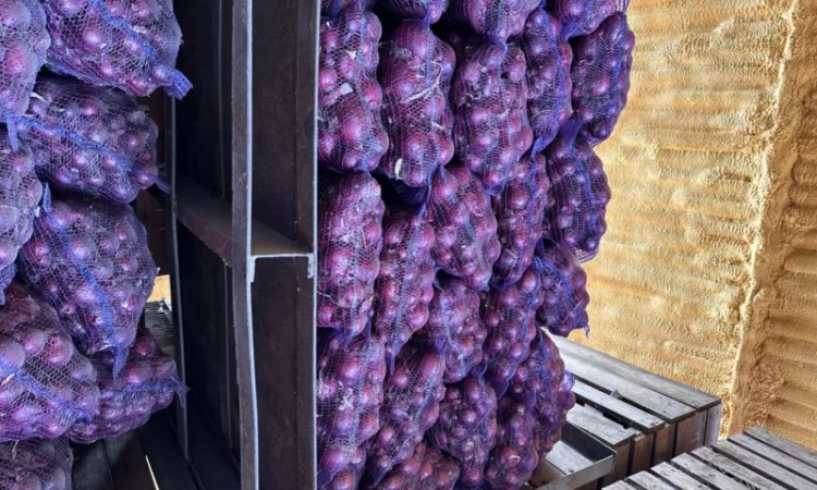 Продаж червоного лука оптом - фото № 1