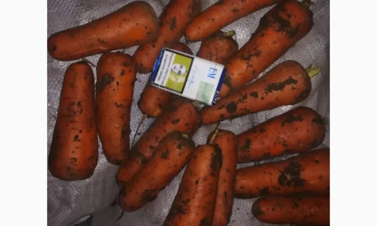 Покупка моркови от украинского поставщика - фото № 2