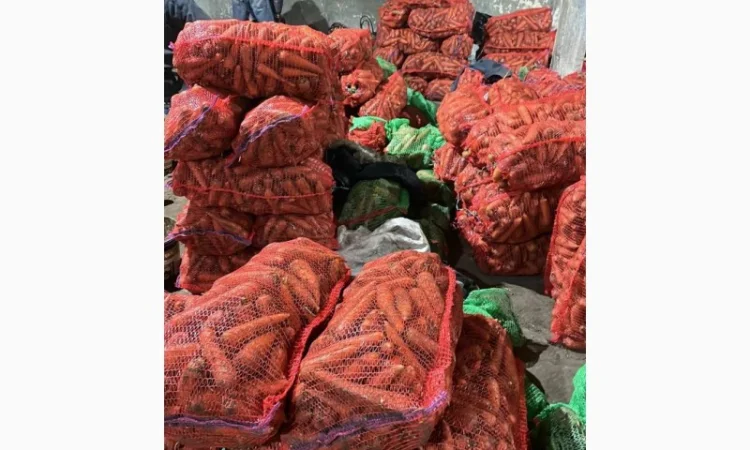 Покупка моркви від постачальника від 10 тонн - фото № 1