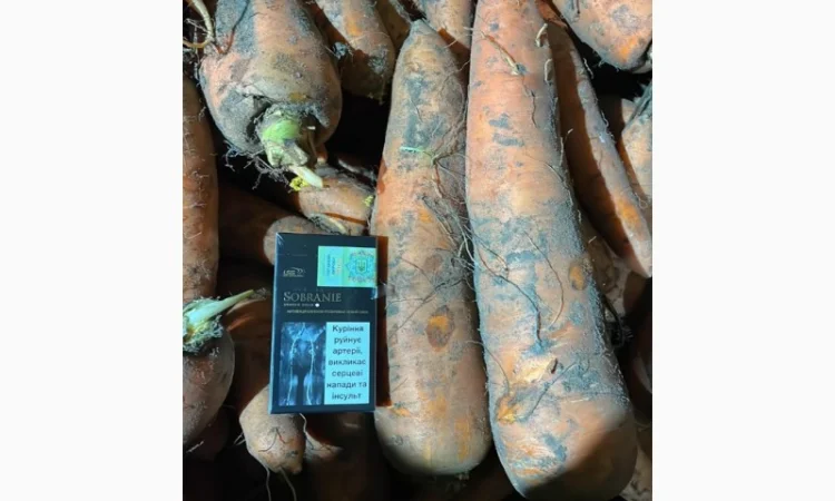 Покупка моркви від постачальника від 10 тонн - фото № 7