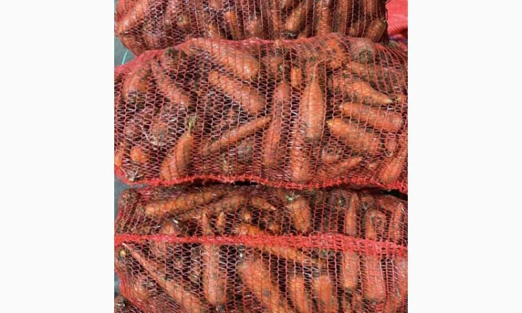 Покупка моркви від постачальника від 10 тонн - фото № 8