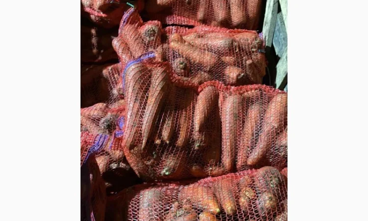 Покупка моркви від постачальника від 10 тонн - фото № 9