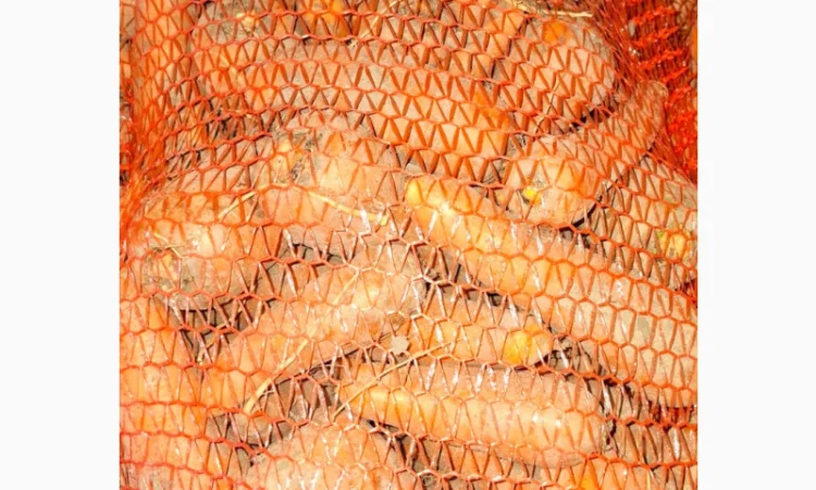 Продаю Моркву Болівар - фото № 4