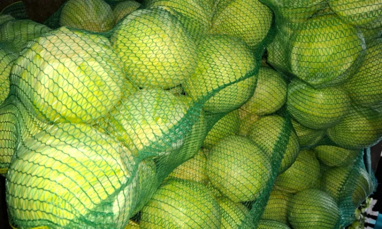 Продаю Моркву Болівар - фото № 9