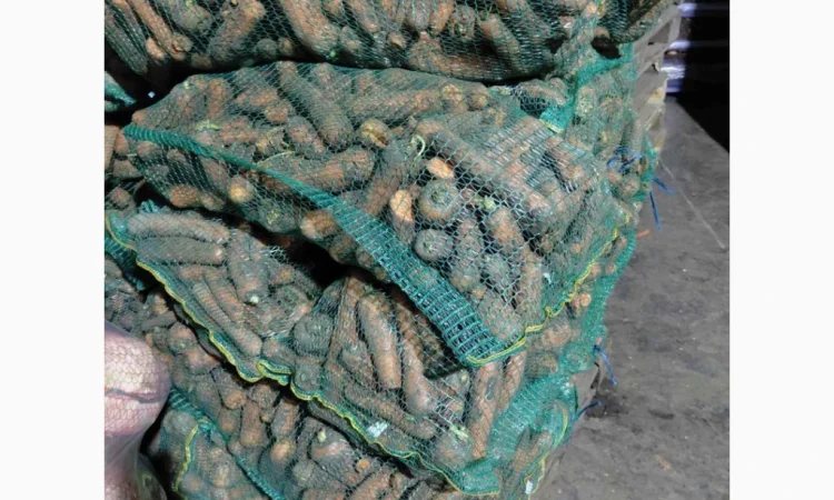 Продаж моркви 2 с, ломана - фото № 1