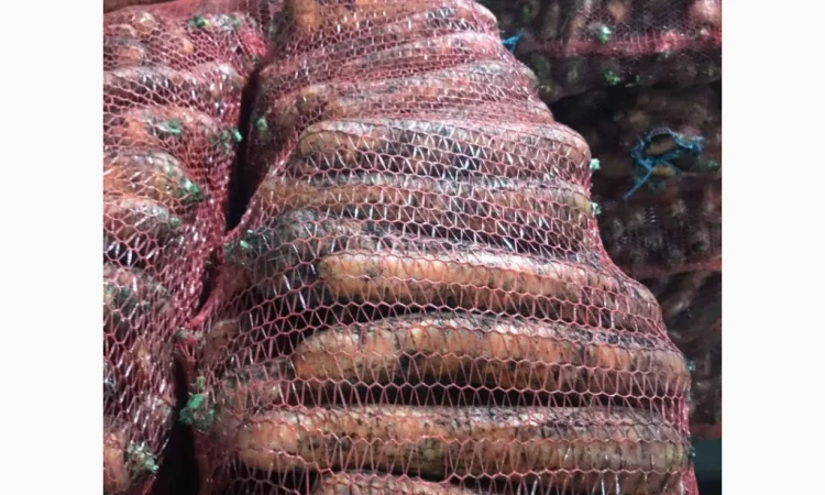 Качественная морковь от 24 тонн от фермера - фото № 3