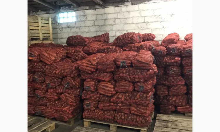 Качественная морковь от 24 тонн от фермера - фото № 1