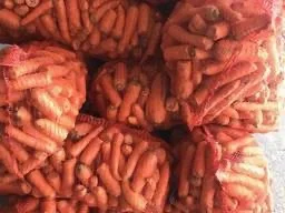 Покупка моркви 1/2 сорту оптом від 20 тонн - фото № 1