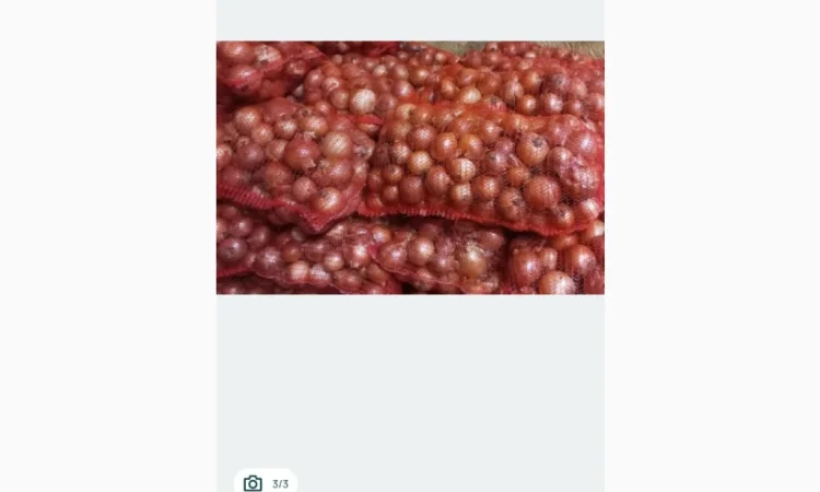 Продаю морковь, буряк и цибулю - фото № 5