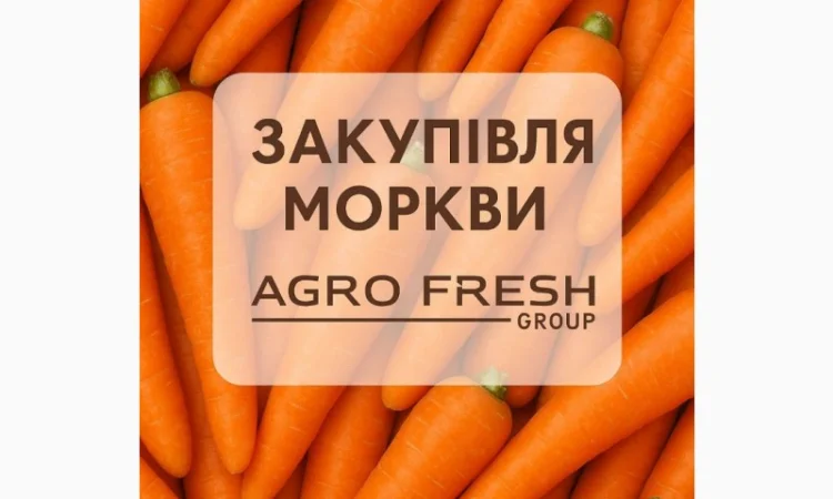 Закупаем морковь от ТОВ «Агрофреш Груп» - фото № 1