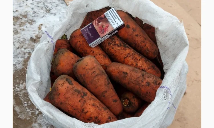 Велика морква 1-го сорту на продаж - фото № 1