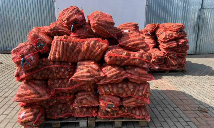 Куплю моркву першого та другого сорту - фото № 1