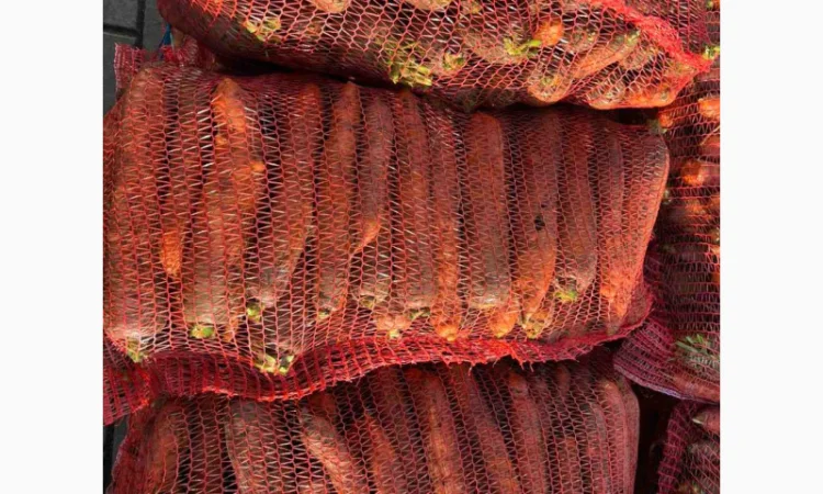 Куплю моркву першого та другого сорту - фото № 2