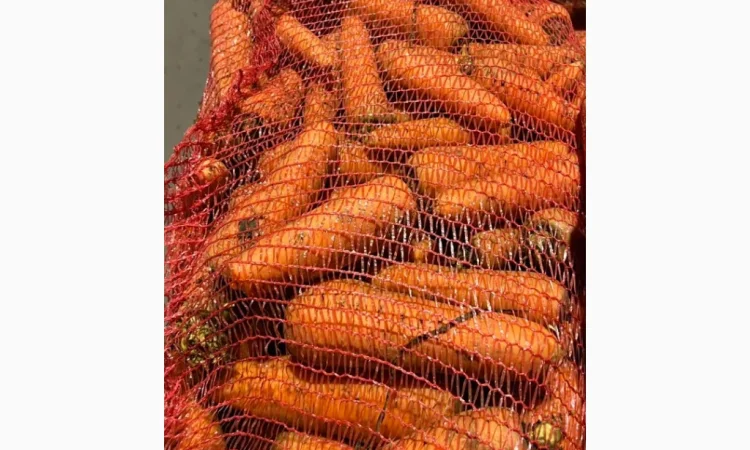 Якісна морква на продаж - фото № 1