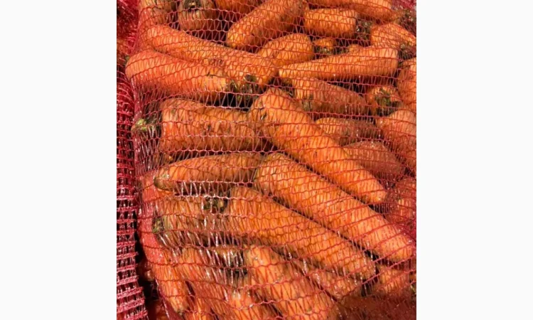 Якісна морква на продаж - фото № 3