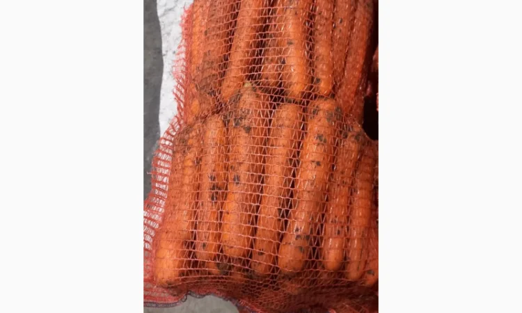 Куплю моркву першого гатунку - фото № 1