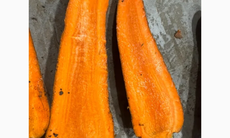 Куплю морковь крупную для салатов - фото № 3