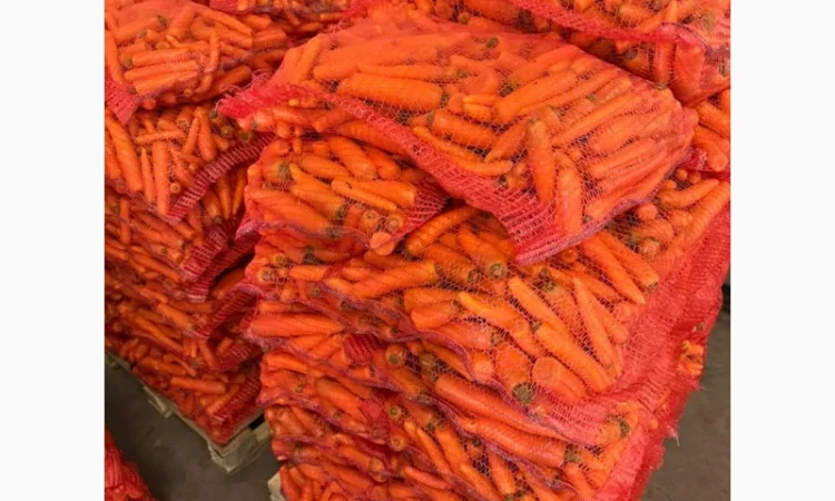 Продаю моркву миту 2 сорту оптом від 10 тонн - фото № 1