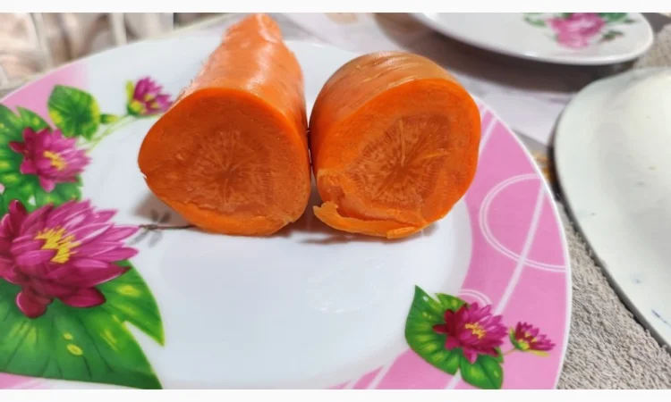 Продаж моркви гібрид Болівар - фото № 4