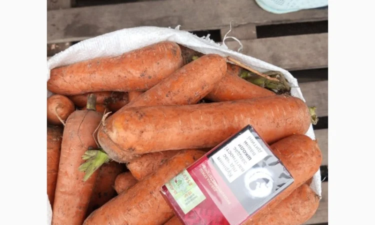 Продаю морковь сорта Шантане - фото № 1