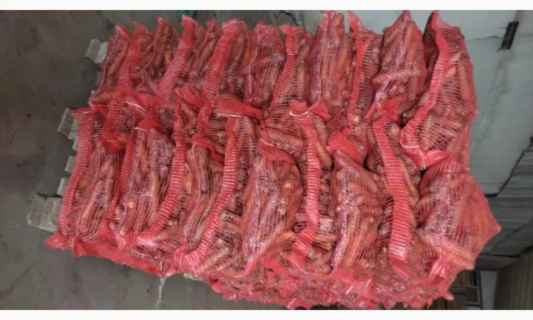 Куплю моркву романс - фото № 1