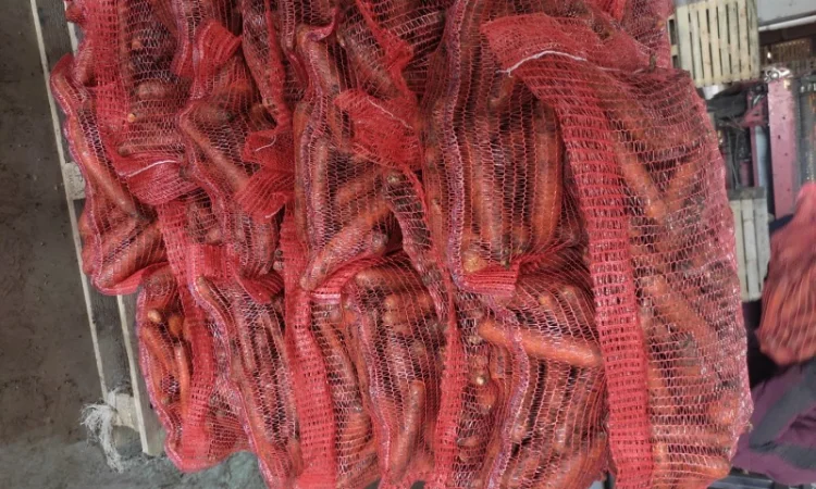 Куплю моркву романс - фото № 2