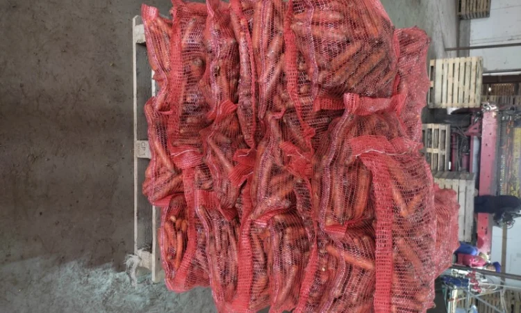 Куплю моркву романс - фото № 3