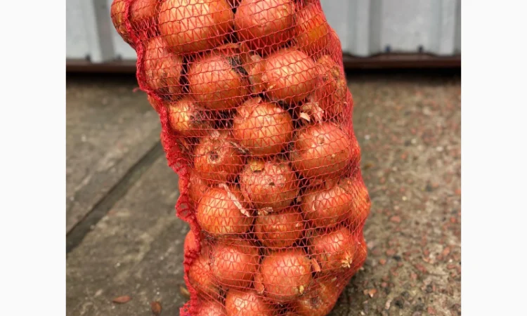 Продається цибуля сорту Дерек - фото № 2