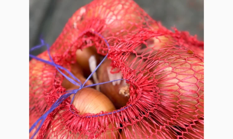 Продається цибуля сорту Дерек - фото № 1