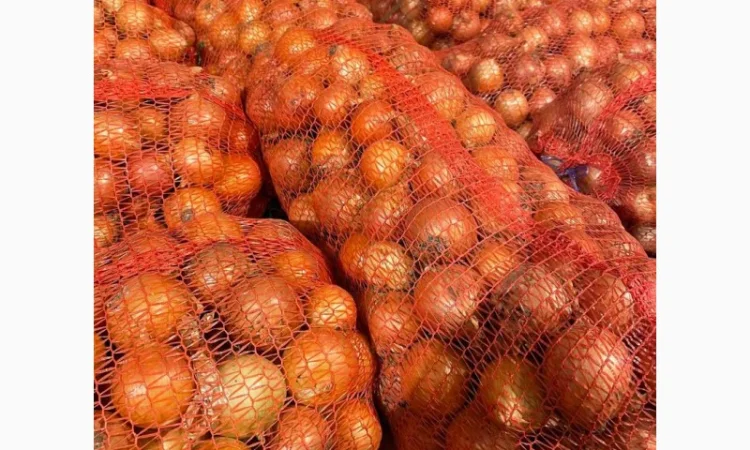 Продаж лука оптом від 10 тонн - фото № 2