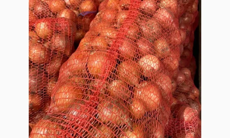 Продаж лука оптом від 10 тонн - фото № 3