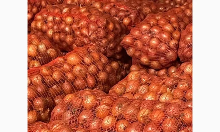 Продаж лука оптом від 10 тонн - фото № 4