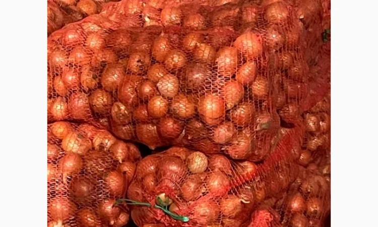 Продаж лука оптом від 10 тонн - фото № 5