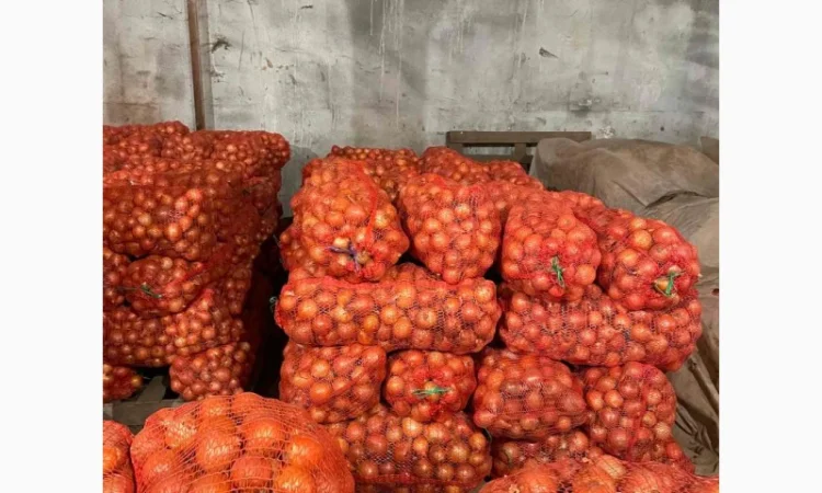 Продаж лука оптом від 10 тонн - фото № 6