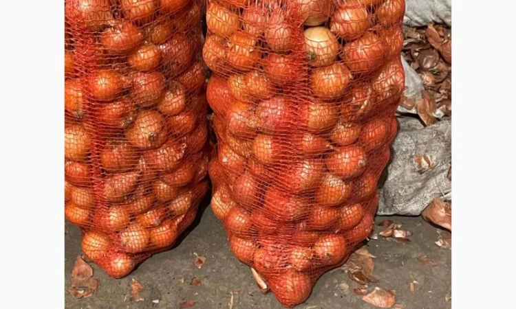 Продаж лука оптом від 10 тонн - фото № 7