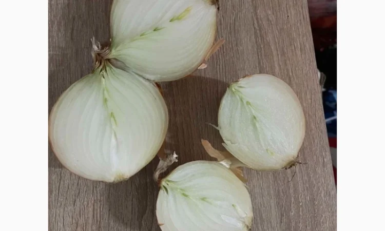 Лук продовольственный від виробника, 10 тонн в наявності - фото № 1