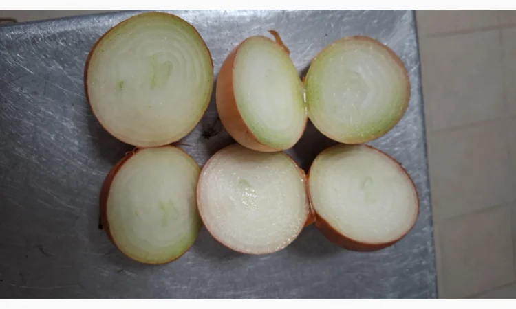 Цибуля на продаж - фото № 3