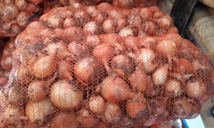 Продажа цибулі сорту Банко - фото № 3