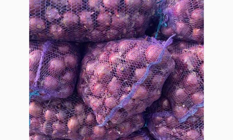 Продажа синей цибулі - фото № 2