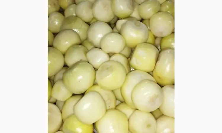 Продам чишений лук - фото № 1