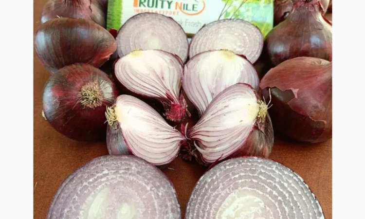 Продаж червоного лука - фото № 1