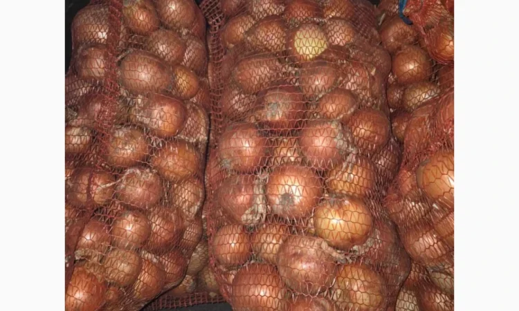 Продается лук сорт Медуза - фото № 1