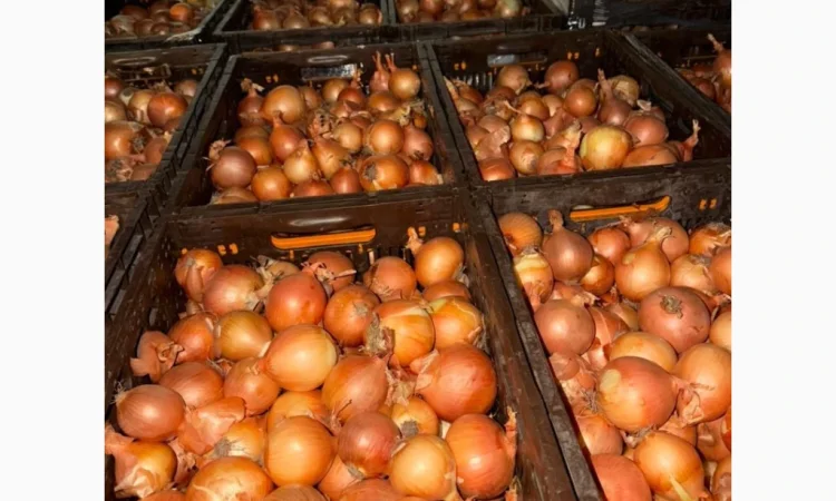 Куплю цибулю по цене 5 гривень - фото № 4