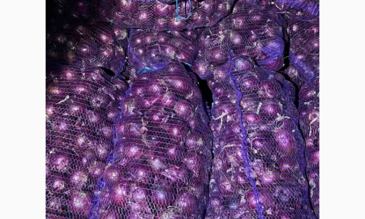 Продаж лука марс - фото № 1